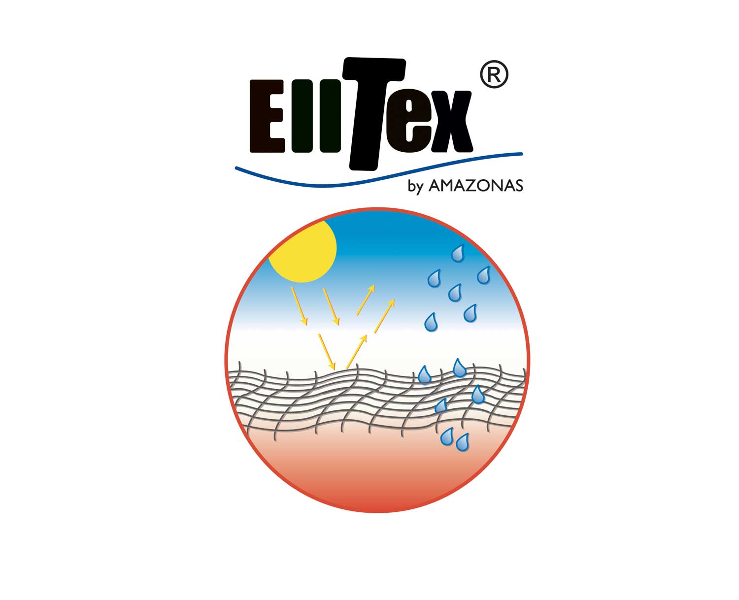 elltex